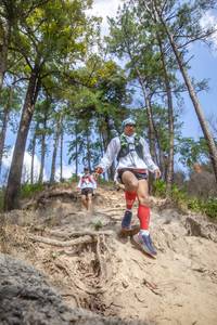 BIB: 
                            <button type="button" onclick="openModal(15932390)" class="btn btn-primary btn-sm float-right btn-popup" data-toggle="modal" data-target=".modal-high-quality">
                        <i class="fas fa-shopping-cart"></i> Add to Cart
                    </button>
                                            <button type="button" onclick="isThisMe(15932390, true)" class="btn btn-success btn-sm float-right btn-popup btn-isme hidden" data-toggle="tooltip" data-placement="bottom" title="นี่คือรูปของคุณใช่ไหม คลิกที่นี่เพื่อเอาเข้าอัลบั้ม">
                        <i class="fas fa-plus"></i> Add to album
                    </button>
                    <button type="button" onclick="isThisMe(15932390, false)" class="btn btn-warning btn-sm float-right btn-popup btn-isnotme hidden">
                        <i class="fas fa-ban"></i> Remove from album
                    </button>